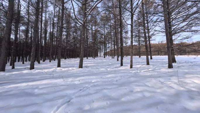 穿越机航拍东北冬天森林穿越冲击感空镜4K