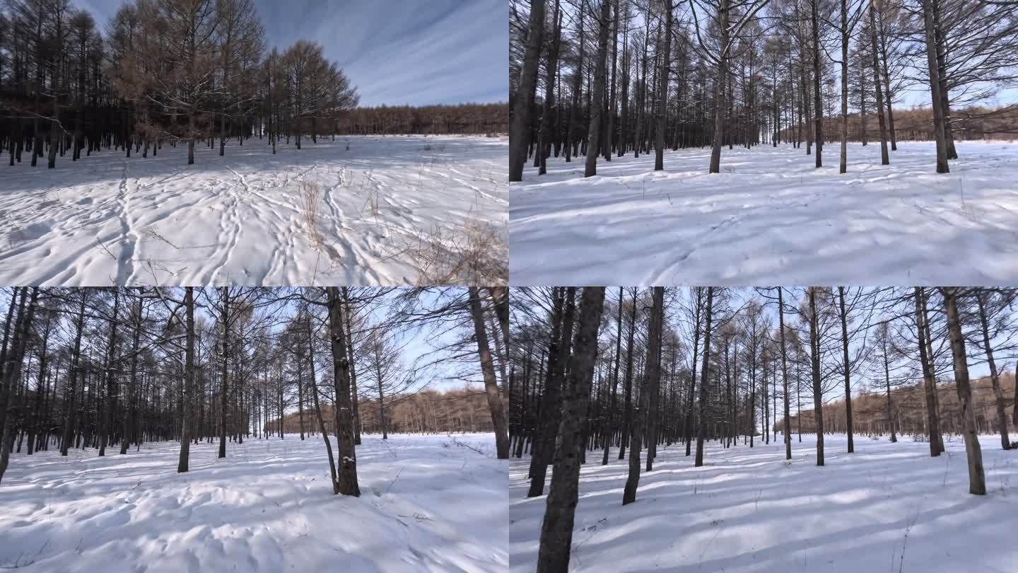 穿越机航拍东北冬天森林穿越冲击感空镜4K