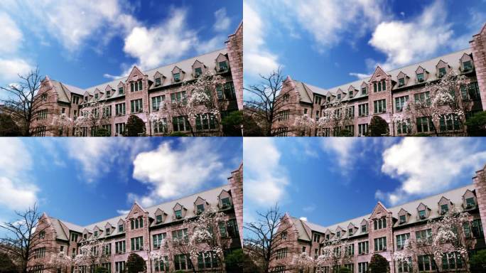 韩国梨花女子大学