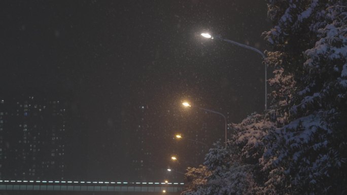 雪城市下雪晚上下雪夜景雪花飘落