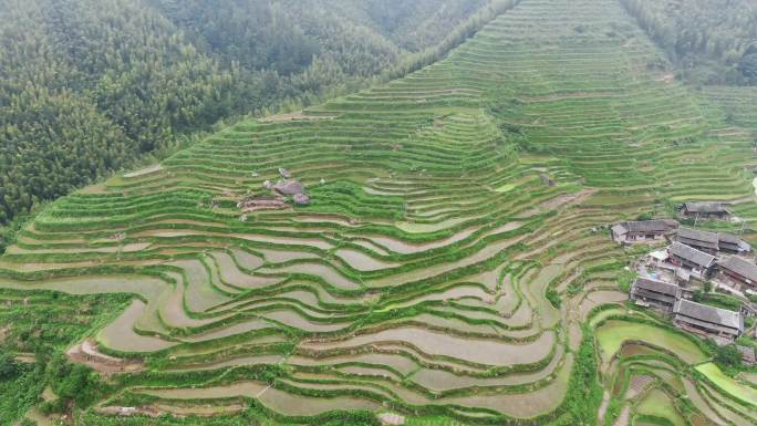 高山梯田农业种植航拍