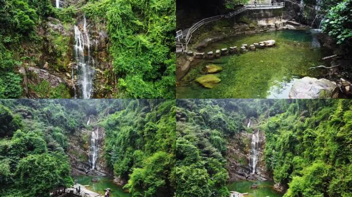 广东肇庆鼎湖山自然风光风景景区绿植山水