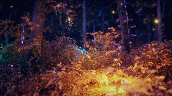 梦幻唯美神秘萤火虫森林