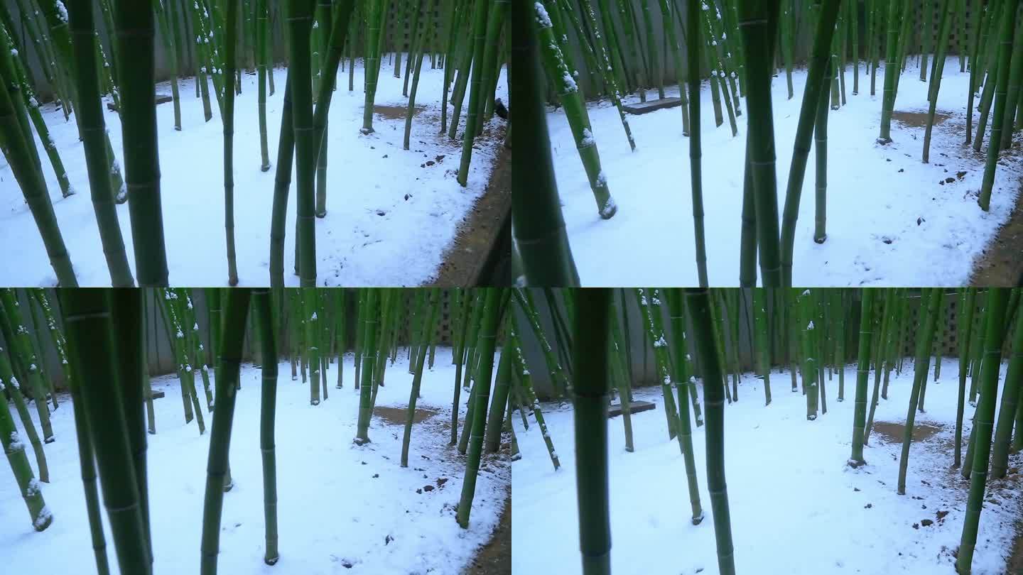 雪中竹林