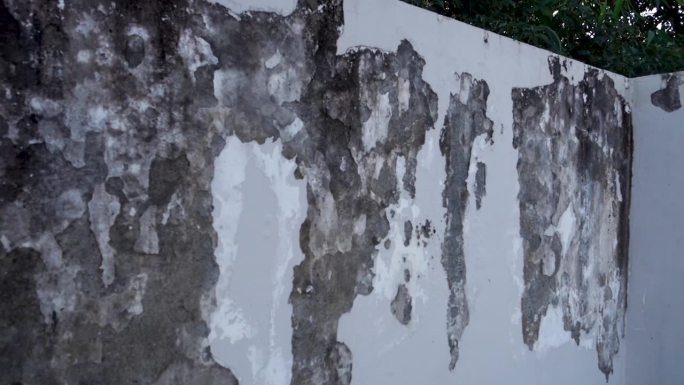 外墙油漆剥落显示季风磨损:北阿坎德邦德拉敦印度住宅风化的墙壁