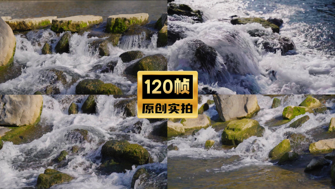 120帧实拍小溪流水河流
