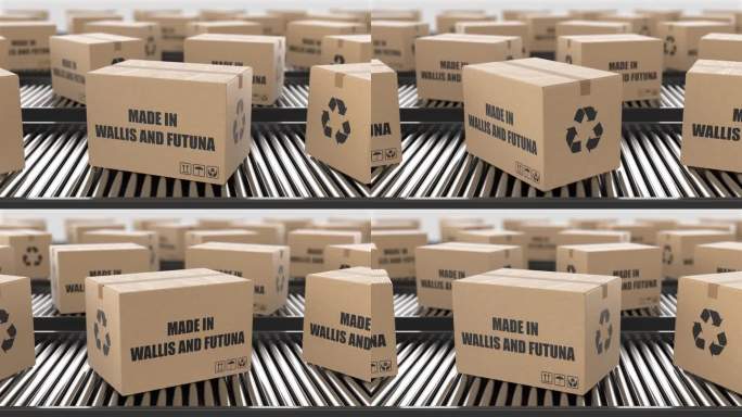 纸板箱上有“沃利斯制造”和“富图纳制造”的文字。工厂生产线仓库。制造出口或交付概念。3D渲染动画。无