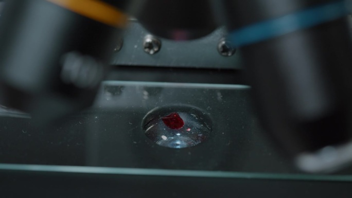 微移液管将血样滴在显微镜托盘上