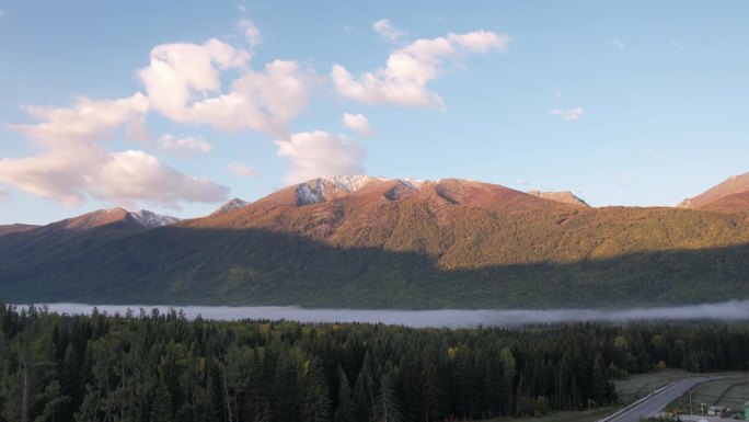 新疆秋日雪山森林晨雾延时拍摄