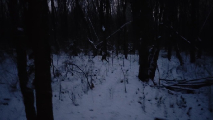 走在冬夜的森林里