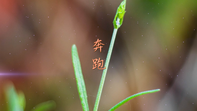 奔跑伴奏视频背景