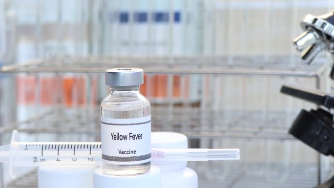 黄热病疫苗装在小瓶中，用于免疫和治疗感染