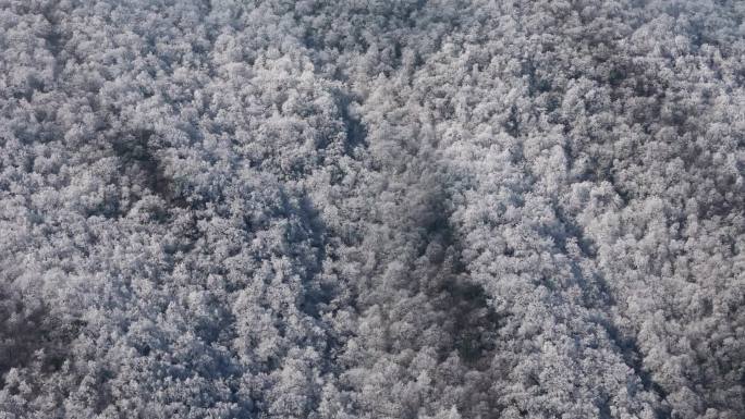 安吉龙王山雪天无人机穿云