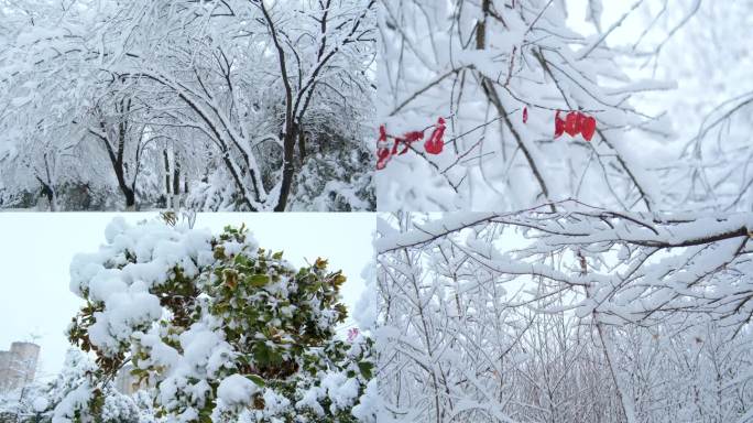 【原创实拍】漂亮的雪景