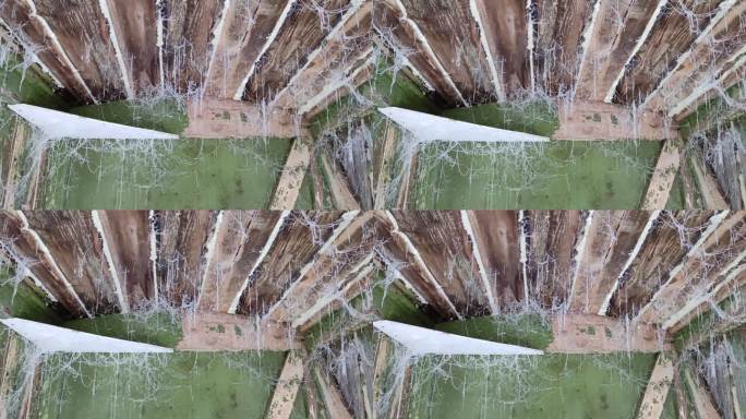 谷仓、棚屋或乡村厕所的木制天花板上结冻的蜘蛛网
