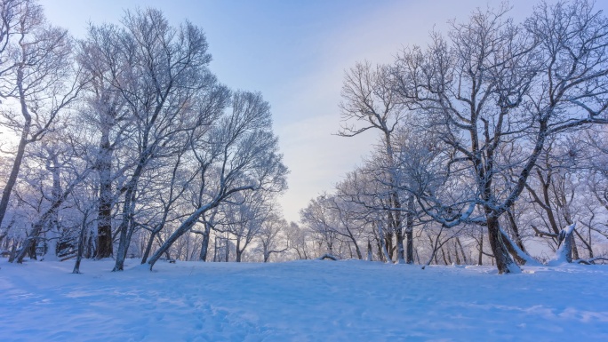 冰天雪地日出