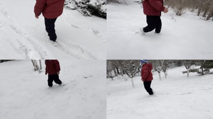 雪地行走 奔跑