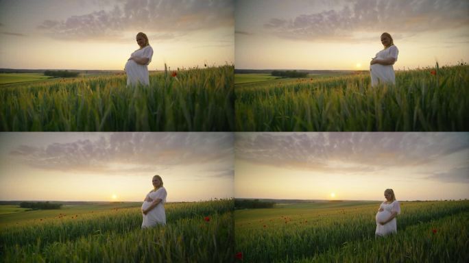SLO - MO白天在田间抚摸小麦、抚摸肚子的孕妇肖像