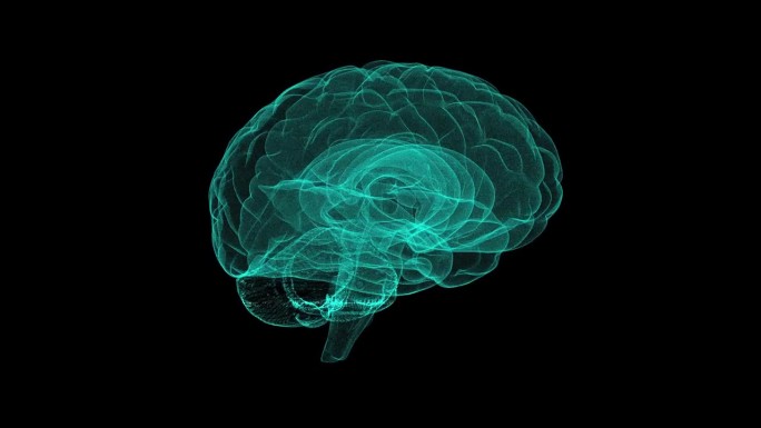 人脑扫描全息图旋转效果黑色背景动画