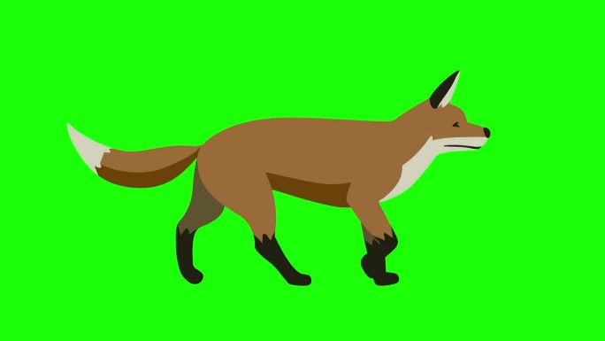 狐狸卡通动物角色行走无缝。4 k