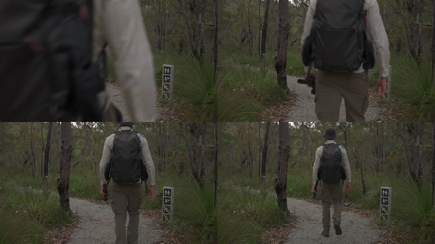 一名男子在西澳大利亚的丹麦森林中开辟了一条小路。从镜头里走出来。