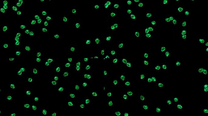 翡翠雨视觉特效宝石和宝石