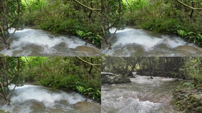 小七孔的水上森林