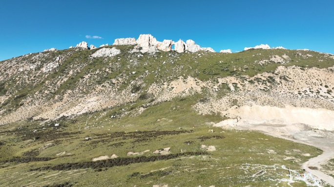 川藏线业拉山上的天然石阵