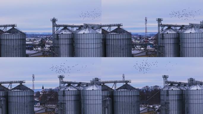 冬季，无人机拍摄了一群在城镇大型农业筒仓上空飞行的鸟