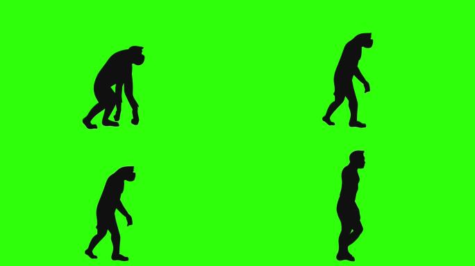 人类进化剪影动画。
