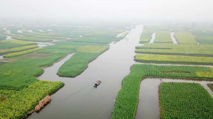 兴化 泰州 江苏 油菜花 航拍 城市宣传