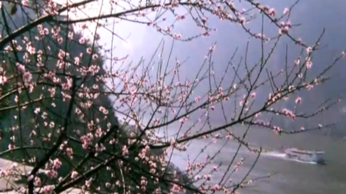 80年代 长江三峡的美丽风光