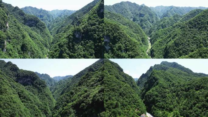 航拍大自然深山山谷湖北神农架神农谷