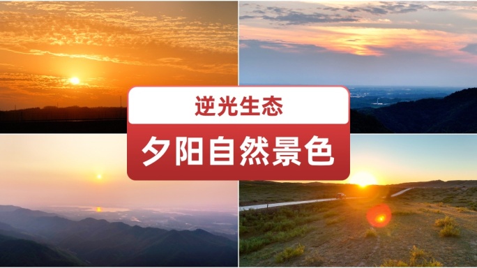 夕阳逆光生态自然景色