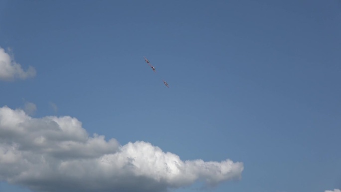 三架美丽的运动飞机在空中飞行