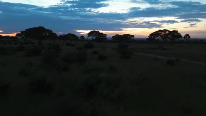 无人机在稀树草原上空低空飞行，一辆越野车在非洲的一条土路上行驶