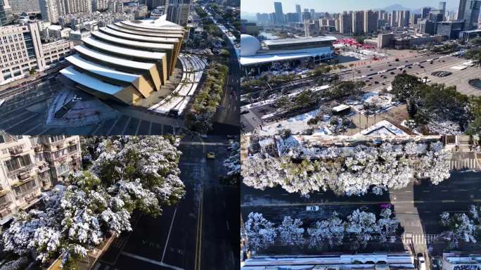 温州雪景 鹿城区下雪航拍