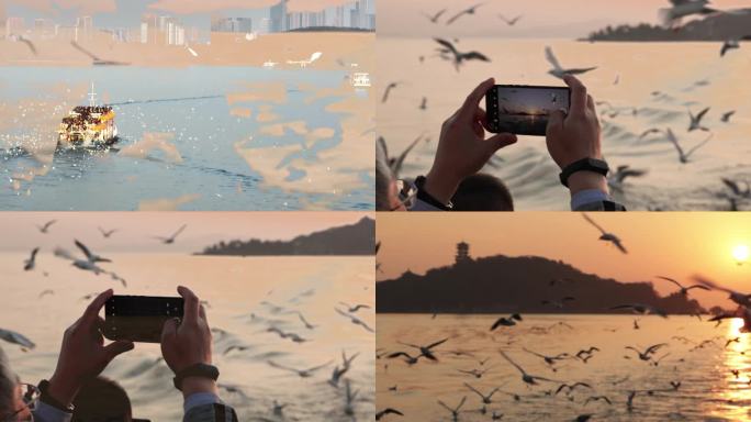 无锡太湖鼋头渚红嘴鸥多角度航拍手机摄影