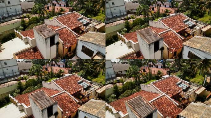 鸟瞰图捕捉到灵长类动物在城市野生动物相遇的屋顶上奔跑。成群的猴子在人类栖息地穿梭，展示了群体动力和在