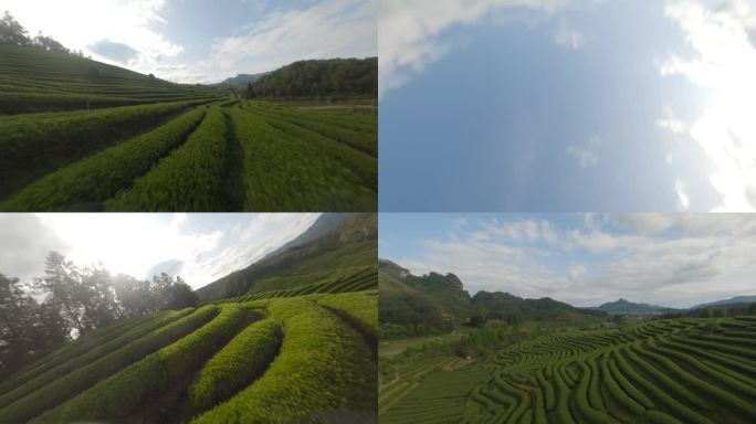 武夷山茶山航拍fpv