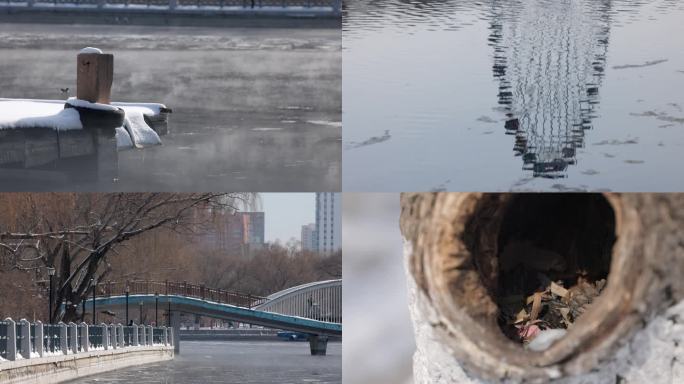 冬季雪景冬天公园景色沈阳南湖公园