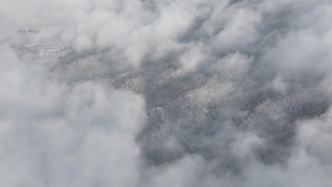 朱雀国家森林公园冰晶顶雪景