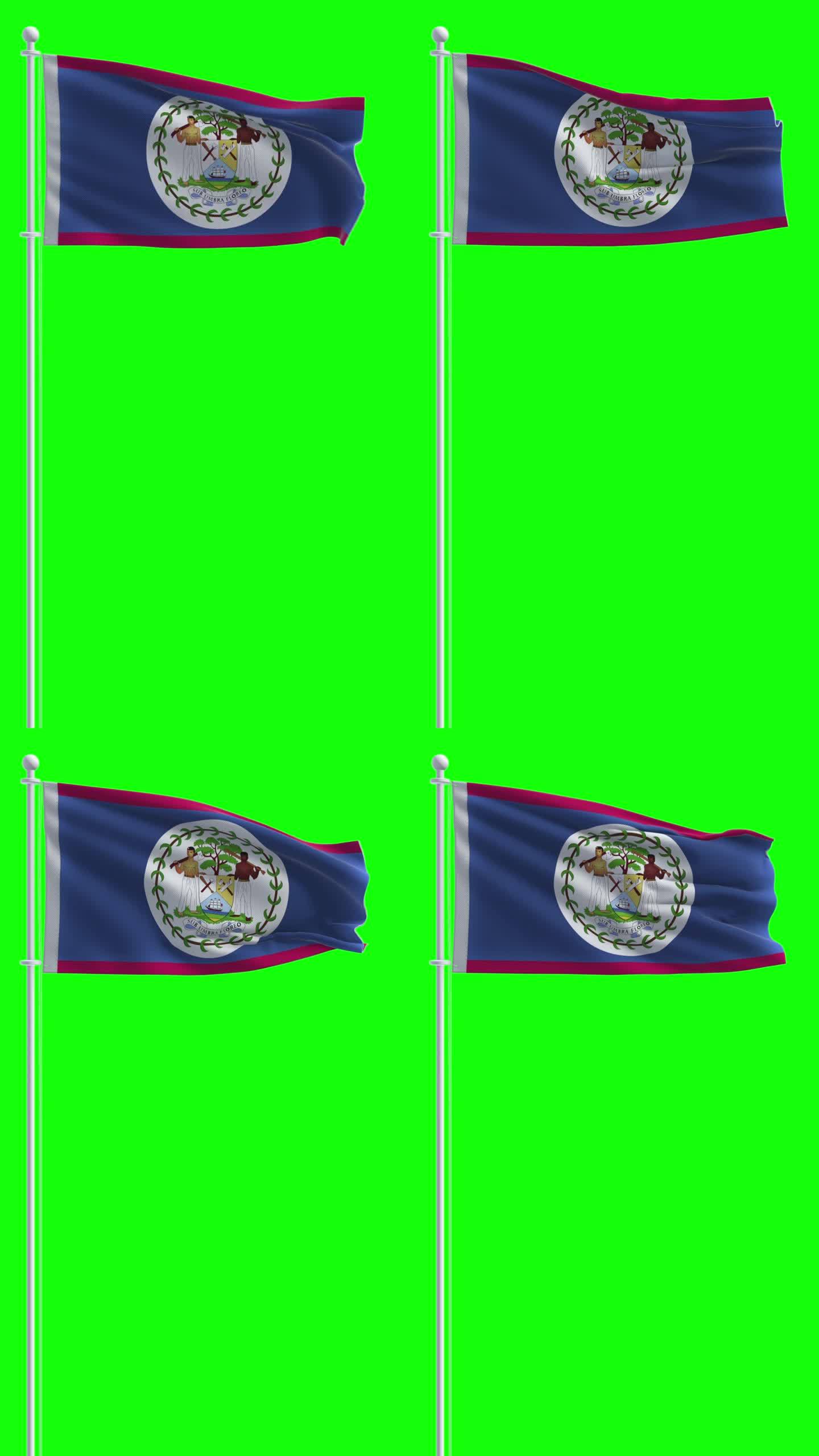 在色度键背景上的伯利兹国旗