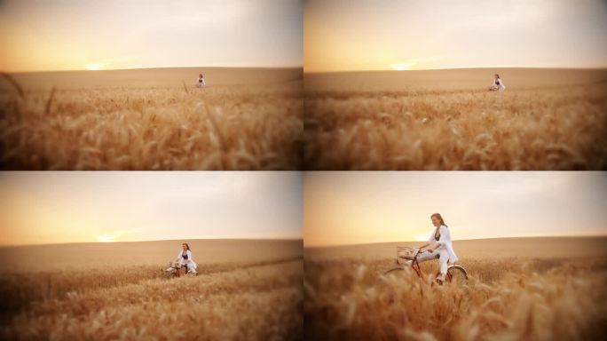 慢动作的快乐的女人，她的双腿分开，体验纯粹的快乐，她骑着自行车通过一个令人惊叹的麦田在夕阳的温暖色调