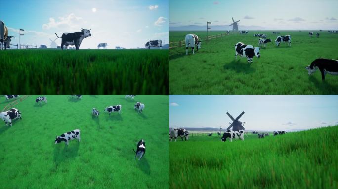 牧场奶牛吃草4K视频素材