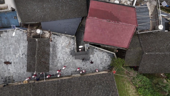 濮园 旅游 酒店 新中式 古建筑 中式