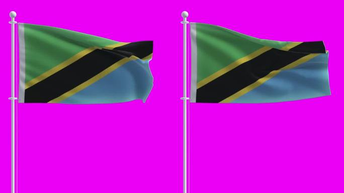 在色度键背景上的坦桑尼亚国旗