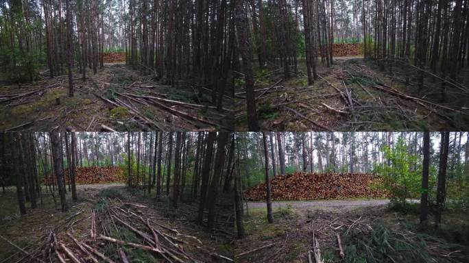 伐木在森林里，砍柴在堆垛里。木材天然花纹。伐木，采伐木材作为燃料和柴火。森林砍伐。