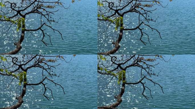 波浪光，日月潭，台湾