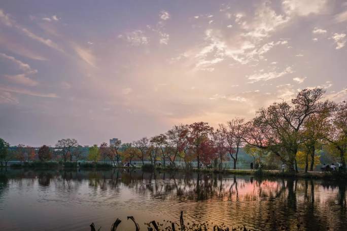 南京前湖中山植物园日落晚霞延时拍摄